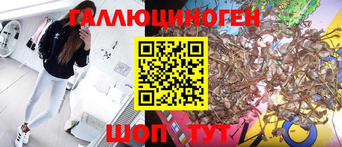 Галлюциногенные грибы GOLDEN TEACHER  Вход с VPN  Дубна 